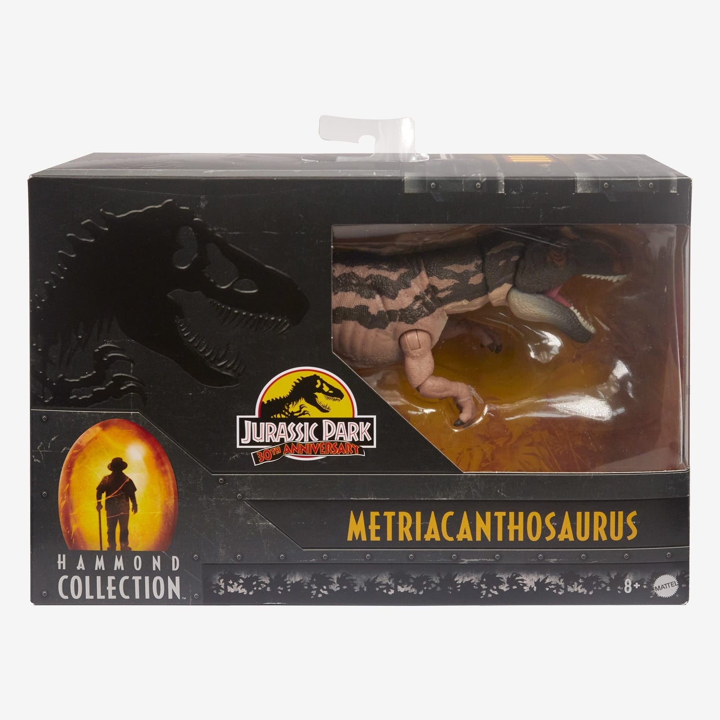 Jurassic World Hammond Collection Dinosaur Figure Metriacanthosaurus - Mô hình Khủng Long Sưu Tầm Mattel - Hình ảnh bổ sung 6