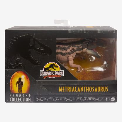 Jurassic World Hammond Collection Dinosaur Figure Metriacanthosaurus - Mô hình Khủng Long Sưu Tầm Mattel - Hình ảnh bổ sung 6