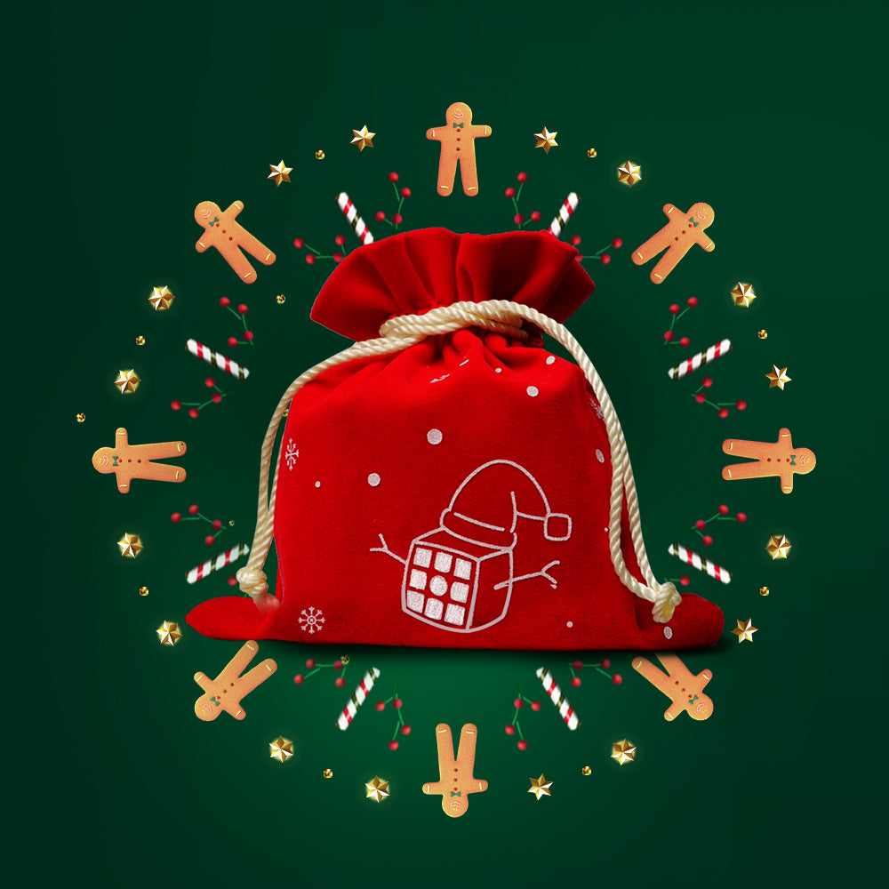 2019 Winter Limited Edition GAN356 X S Evergreen - Rubik 3x3 Phiên Bản Giới Hạn - GANCUBE