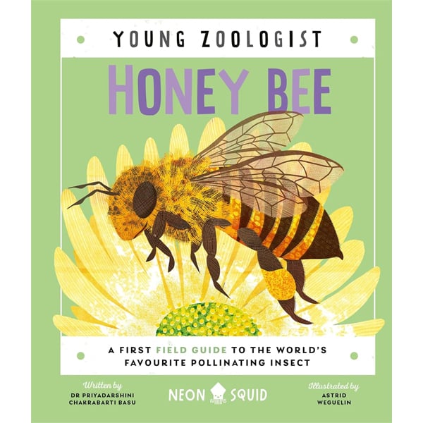 Honey Bee