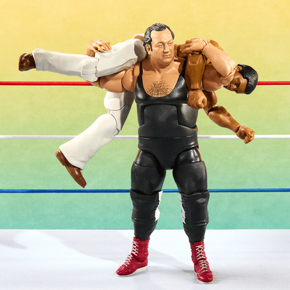 WWE Elite Collection Legends From the Territory Era 4-Figure Multipack - Bộ 4 Mô Hình Đấu Vật Mỹ - Mattel Creations - Hình ảnh bổ sung 5