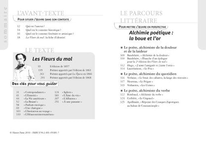 Les fleurs du mal
