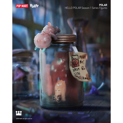 POLAR Model - HELLO POLAR Season 1 Series Figures - Mô hình Blind Box - POP MART