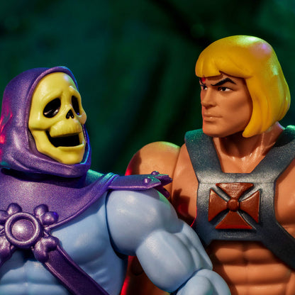 Masters of the Universe Skeletor x VeeFriends Skilled Skeleton 2-Pack - Bộ 2 Mô Hình Khớp Cử Động Mattel Creations Mattel - ả