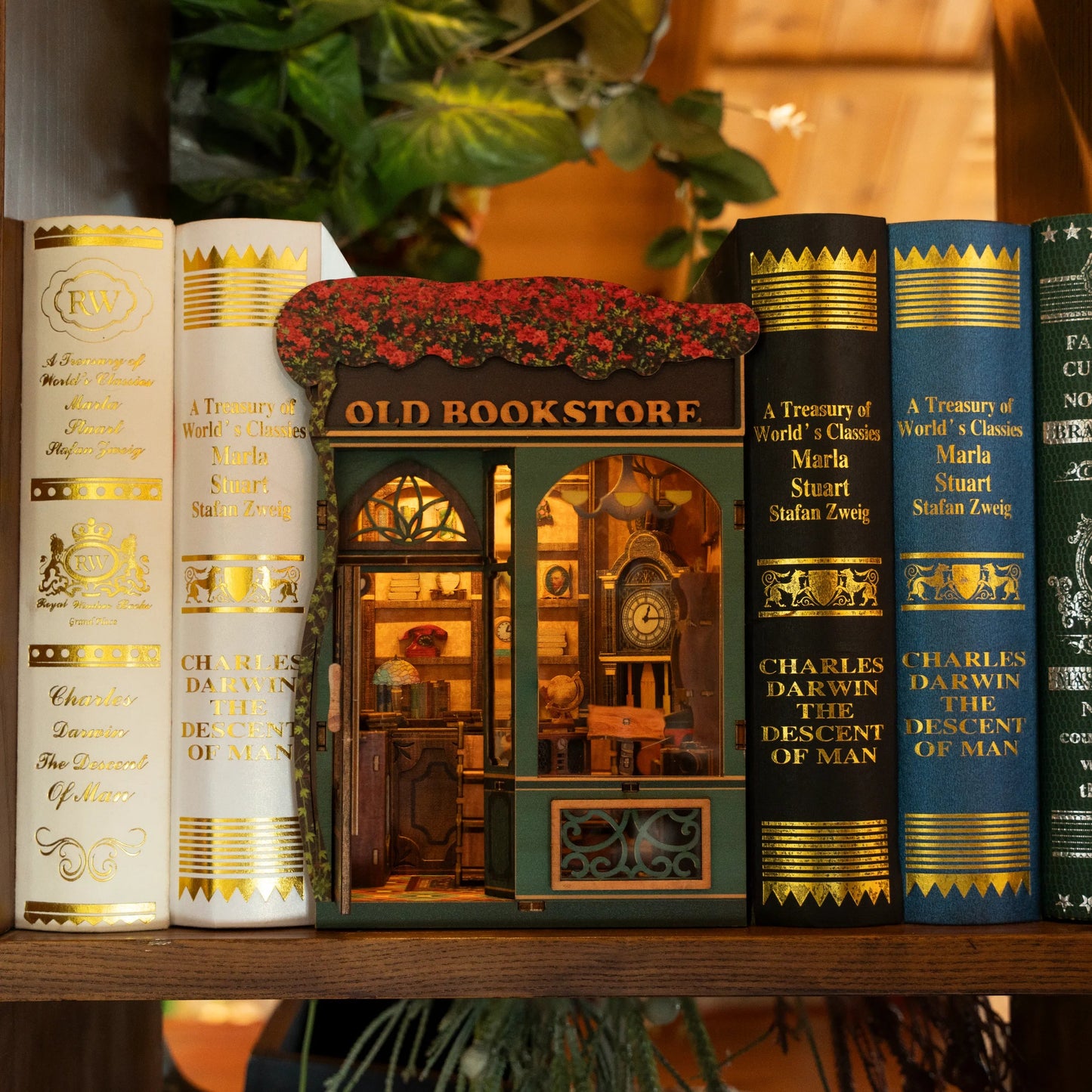 Tiệm sách cũ - Châu Âu