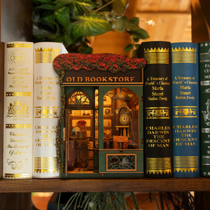 Tiệm sách cũ - Châu Âu