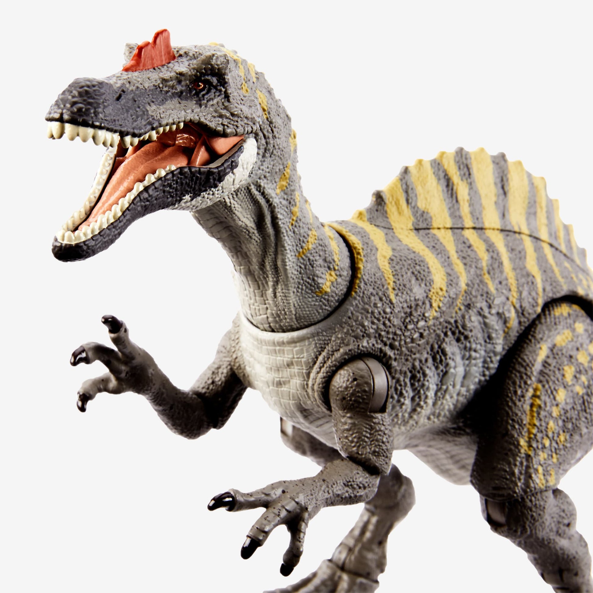 Jurassic World Hammond Collection Dinosaur Figure Irritator - Mô Hình Khủng Long Cao Cấp - Mattel HLT28 - Hình ảnh bổ sung 5
