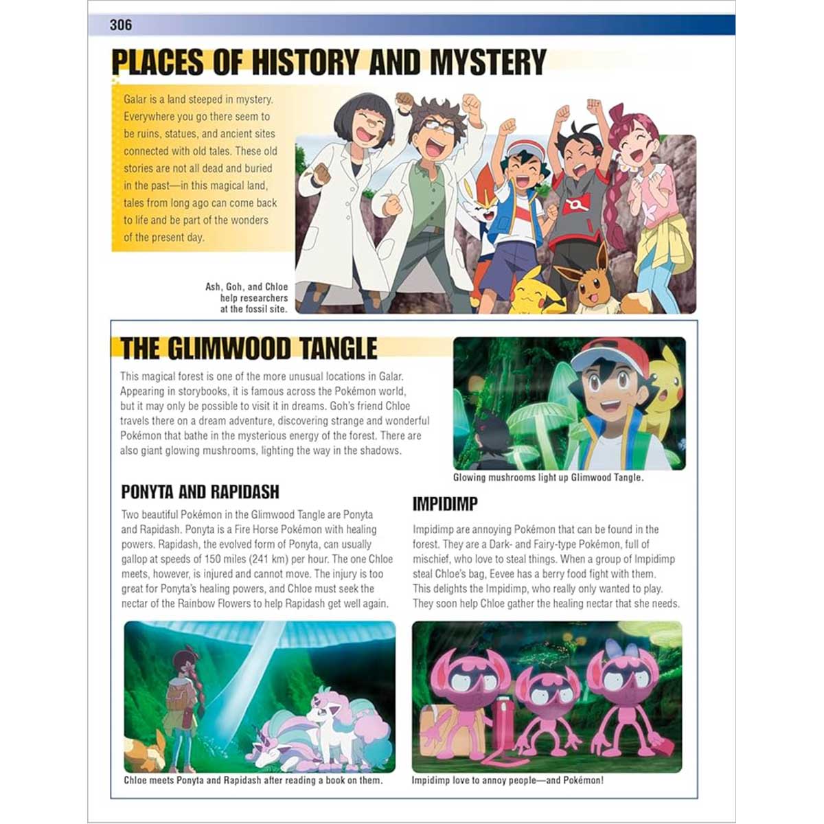 Pokémon Visual Companion 5th Edition