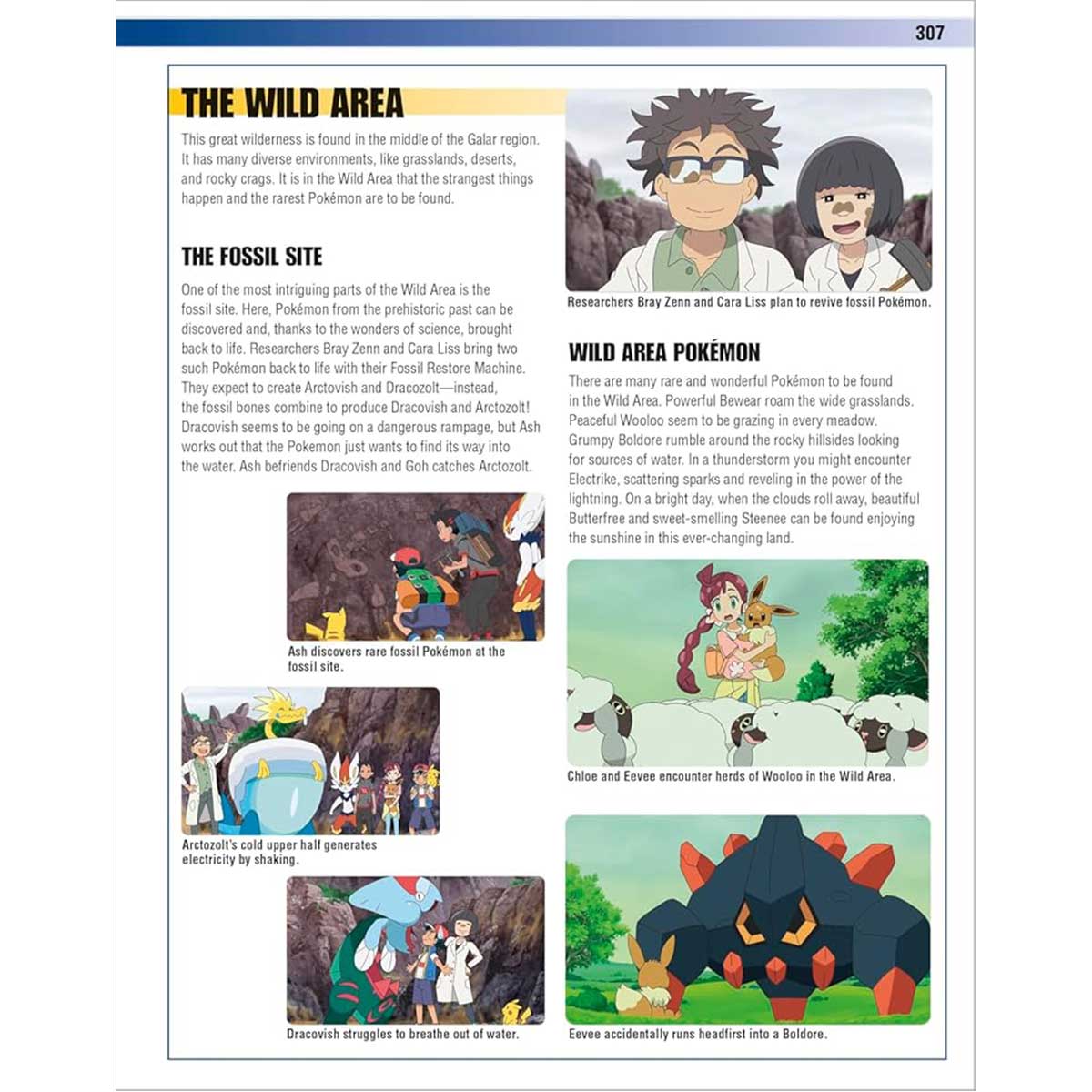 Pokémon Visual Companion 5th Edition