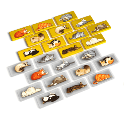 Purrramid – Family Stop-or-Go Board Game + Promo Pack