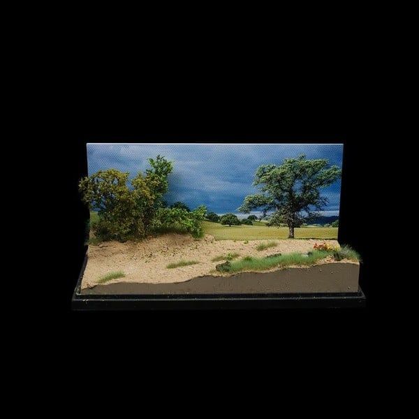 Diorama 1:64 - Đường Mòn Đồng Cỏ
