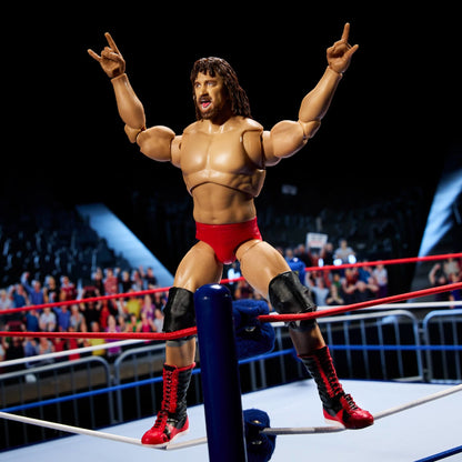 WWE Coliseum Collection Hulk Hogan & Terry Funk Ultimate Edition Figures - Bộ 2 Mô Hình Đô Vật Mỹ Cao Cấp Mattel Mattel - ảnh