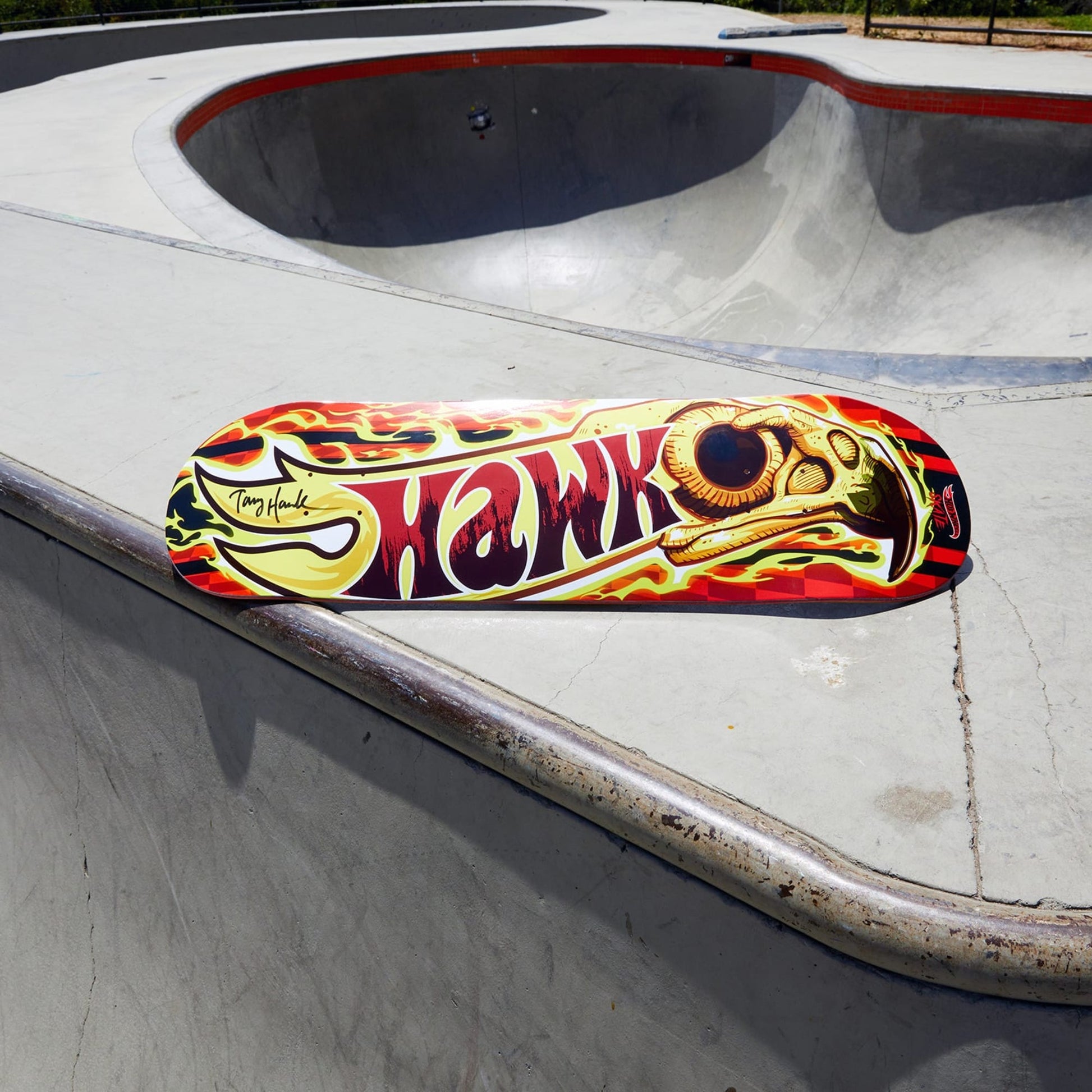 Tony Hawk x Hot Wheels Skate, Wildfire Deck & Fingerboard - Ván trượt cao cấp giới hạn có chữ ký - Mattel Creations HPP94 - Hình ảnh bổ sung 6