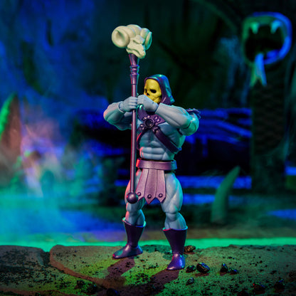 Masters of the Universe Skeletor x VeeFriends Skilled Skeleton 2-Pack - Bộ 2 Mô Hình Khớp Cử Động Mattel Creations Mattel - ả