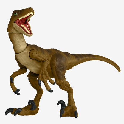 Jurassic World Hammond Collection Velociraptor Figure - Mô hình Khủng long khớp động - Mattel - Hình ảnh sản phẩm
