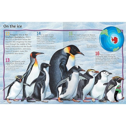 100 Facts Penguins
