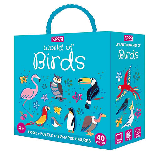 Q-Box - Birds