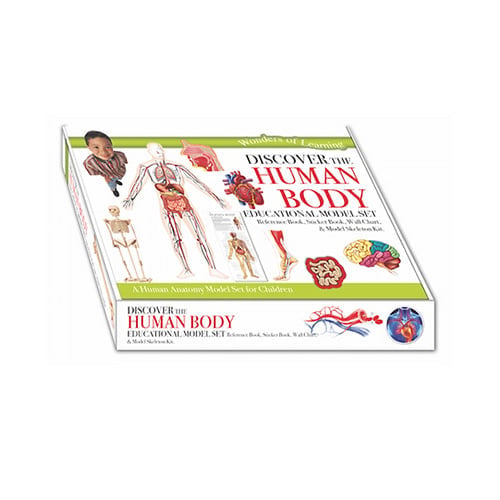 Wol Model Set - Human Body