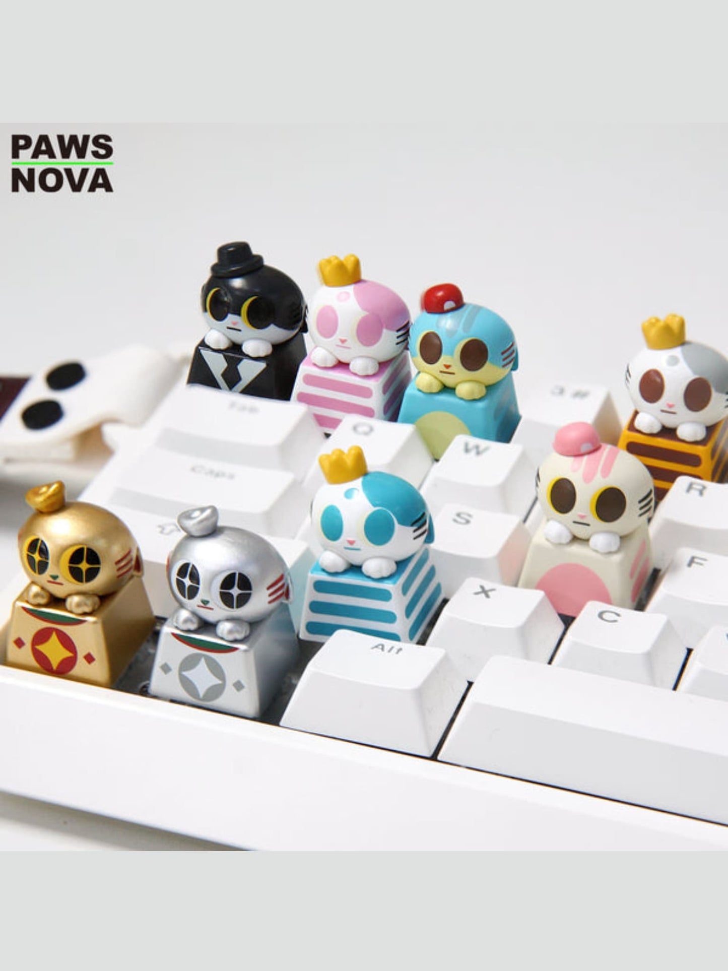 DOSHIICAT FINGERTIP MINIKEYCAP BLIND BOX - Mô hình Blind Box Keycap Mèo Trang Trí Bàn Phím Pop Art Workshop - Hình ảnh bổ sung 4
