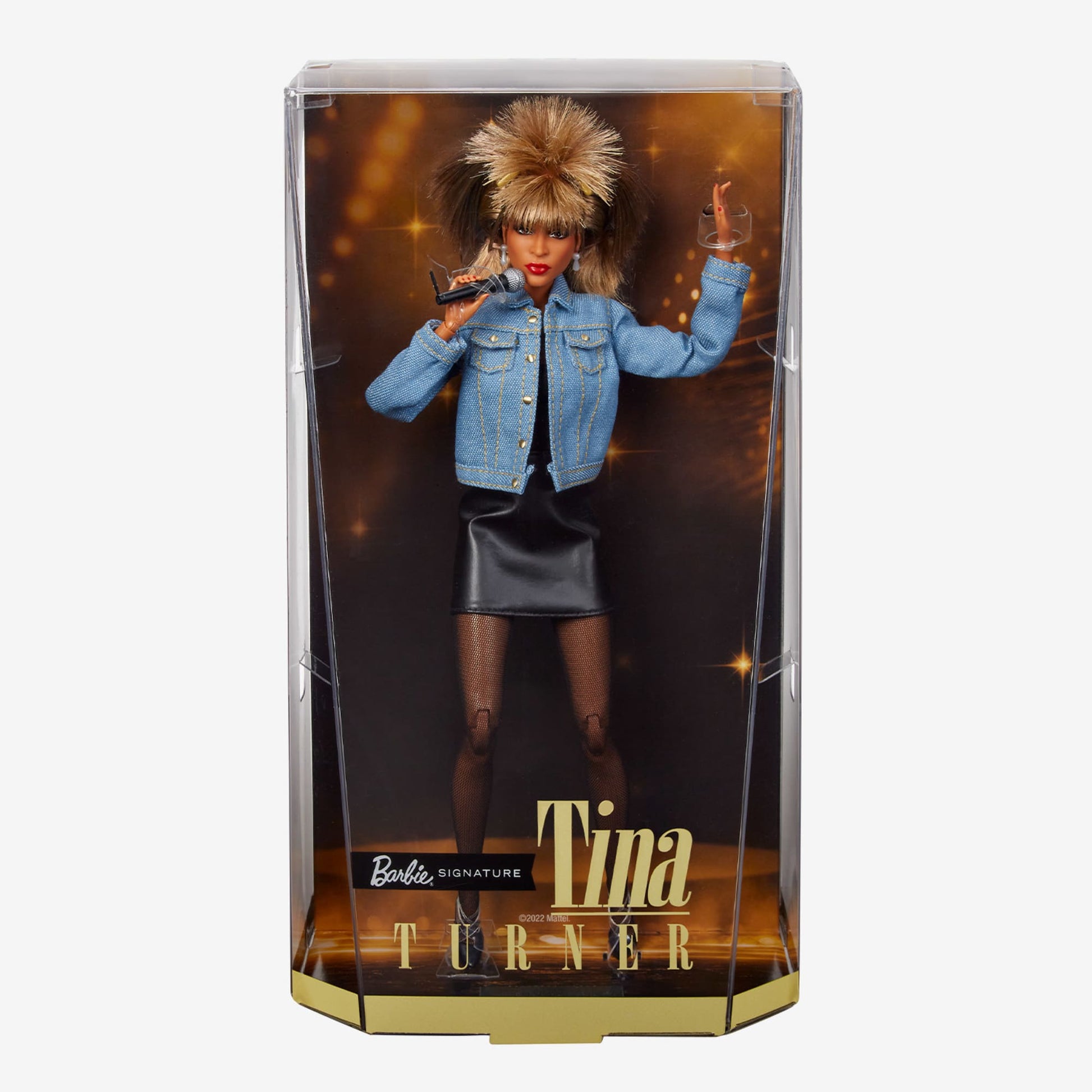 Barbie Signature Music Series Tina Turner Doll - Búp bê Sưu tầm Huyền thoại Rock 'n Roll - Mattel HCB98 Mattel - ảnh 6 - Coll