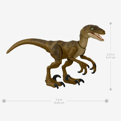 Jurassic World Hammond Collection Velociraptor Figure - Mô hình Khủng long khớp động - Mattel - Hình ảnh bổ sung 4