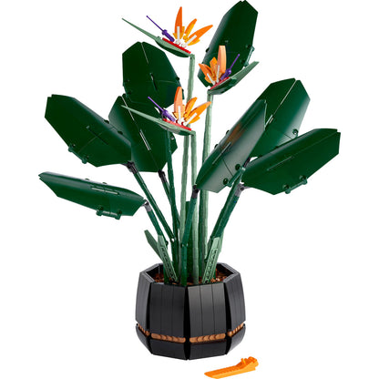 LEGO® Creator Expert Bird of Paradise - Bộ Lắp Ráp Hoa Thiên Điểu - LEGO 10289 Botanical Collection - Hình ảnh chi tiết 2