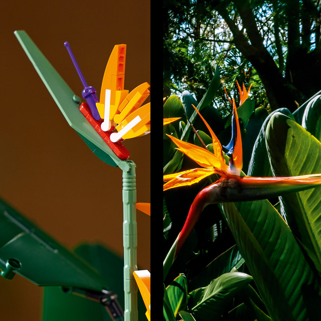 LEGO® Creator Expert Bird of Paradise - Bộ Lắp Ráp Hoa Thiên Điểu - LEGO 10289 Botanical Collection LEGO - ảnh 1 - Lego