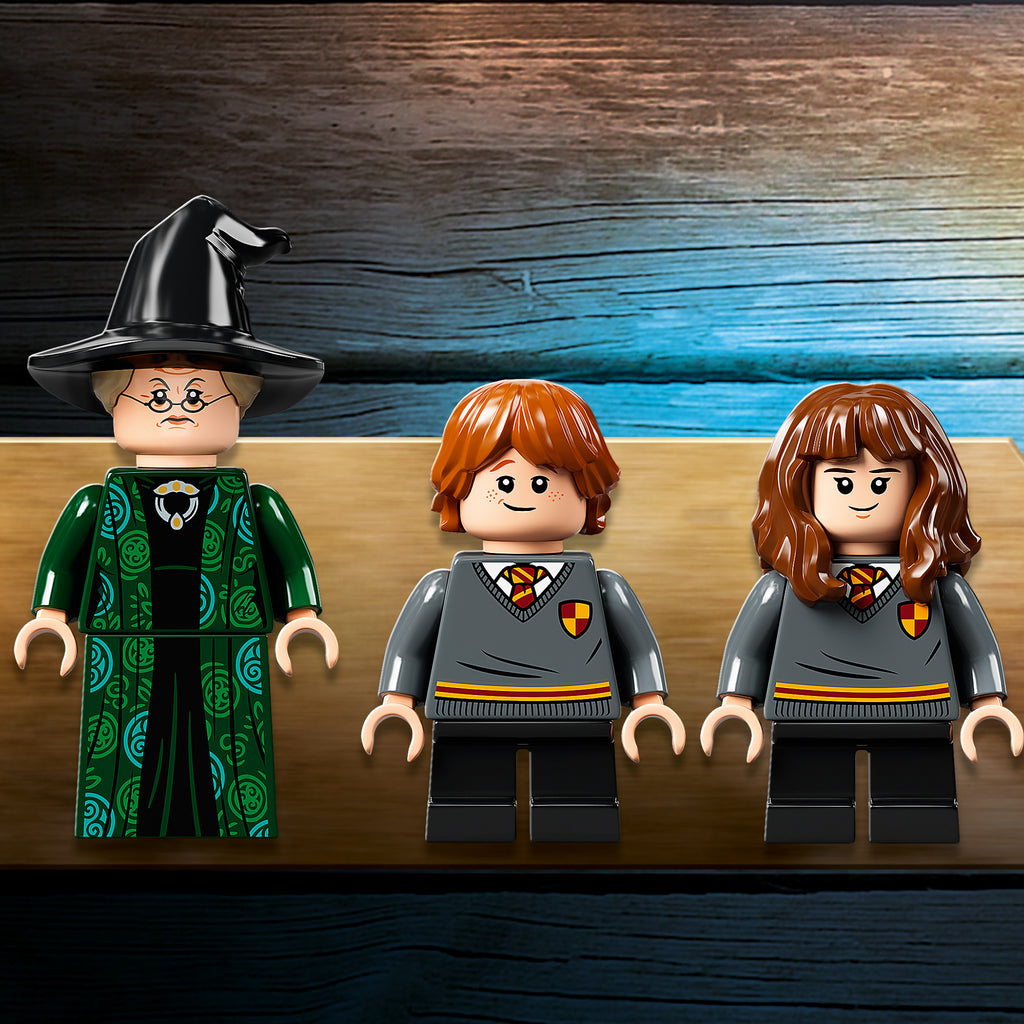 LEGO® Harry Potter Hogwarts™ Moment: Transfiguration Class - Bộ Lắp Ráp Lớp Học Biến Hình (76382) - Hình ảnh bổ sung 6